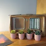Historical Arches House