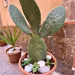 Da Diego