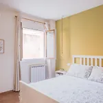 Risorgimento Apartment