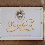Pomona Dynamic