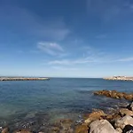 Conchiglia Al Mare