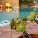 Villa Libeccio Appartment With Shared Swimming Pool, At 200 Meters From The Beach, Solarium And Private Parking