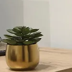 Lily Suite
