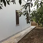 Casa Amuri