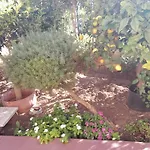 Lumera