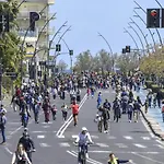 Casatua