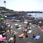 Casatua