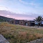 Dammusi Futura