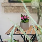 Modern Design Apartment In Historical City Center