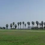 Al Foro Borbonico