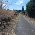 Casa Delle Palme Giarre Sicilia A 3 Km Dal Mare