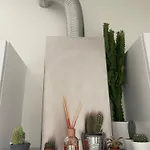 Stella Rooms