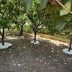 Aromi Di Sicilia Casa Vacanze