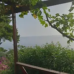 Nido Del Falco