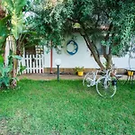 Geko'S House