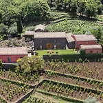 Terrazze Dell'Etna - Country Rooms And Apartments