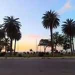 Green House Beach
