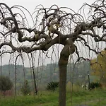 Le Poiane B&B Vacanze