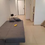 Acasuzzadiaci