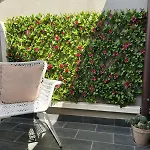 Cafiero House Catania Downtown By Sicily In Home