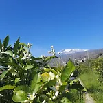 Zagara