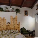 Fiori D'Ulivo