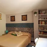 B&B Cactus