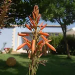 Terre Iblee Resort