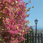 Openspace Etna