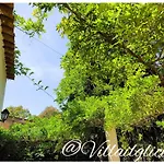 Villa Il Glicine
