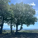 Profumo Di Zagara