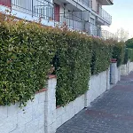 Casa Carmelina