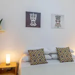 The Situation House