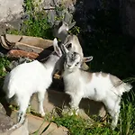 Agriturismo Biologico Corte Aragonese