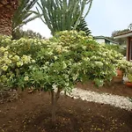 Villa Cetta B&B