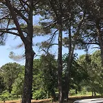 Villa Giulia