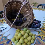 B&B Domus Candida