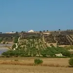 Olivandro