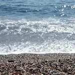 Dolphin House