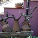 Etna-Mare Country House