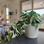 Barbato Guest House