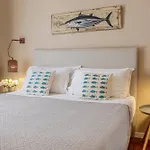 Salamureci Camere