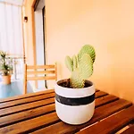 Donna Concetta Seaside Apartment