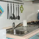 Homidoo Conchiglia