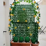 Casa Vacanze Pupo 2.0