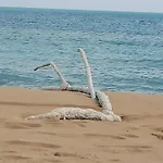 Ca' Libellula Casa Vacanza
