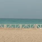 La Casa Del Polpo