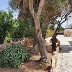 Chalet Con Giardino