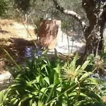 Villa Paradiso