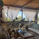 Villa Corbera Palmaris